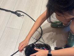 -YCHL Studios健身工作室(市二宫店)