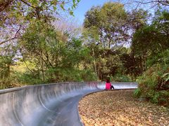 -广州市白云山风景名胜区