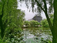 -长兴太湖图影湿地文化园