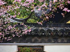 -常熟方塔园