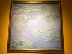 -印象莫奈时光映迹艺术展