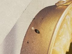 -冰川冷面·延边菜·炭烤串(观前店)