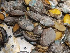 -冀粤香海鲜自助餐厅(西美五洲店)