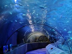 -太平洋海底世界