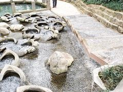 -成都市活水公园