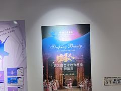 -中央芭蕾舞团·中芭艺蕾(酒仙桥明星校区)