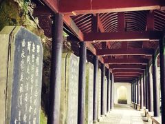 -严子陵钓台(富春江小三峡)