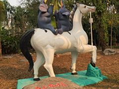 -瑞丽独树成林风景区