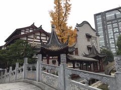 -龙潭水乡