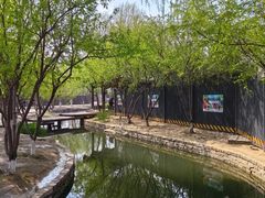-春风习习