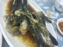 清蒸石斑鱼-小辣妹川味海鲜加工店(第一市场椰风巷店)