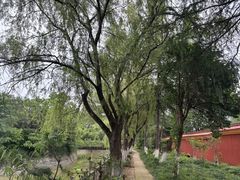 -开福禅寺