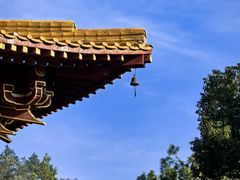 -素山寺森林公园