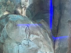 -泉城欧乐堡海洋极地世界