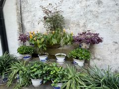 -绍兴鲁迅故里·沈园景区