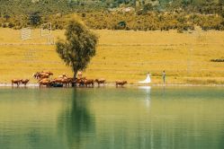 点击看大图 -太古映画婚纱摄影(天河店)