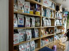 -中农大我爱我爱24h动物医院·中医针灸·猫专科·骨科医疗中心(双井店)