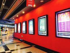 -万达影城(锦华万达广场IMAX店)