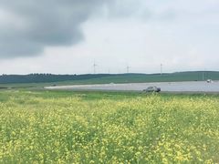 -御道口草原森林风景区
