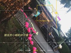 -玫瑰园餐厅
