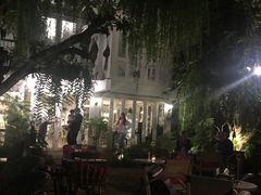 -Fern Forest Cafe