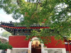 -北京艺术博物馆(万寿寺)