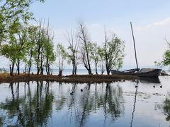 -洱海月湿地公园