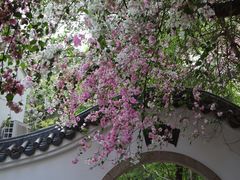 -深圳国际园林花卉博览园