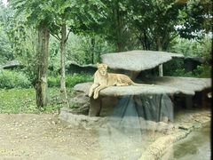 -北京野生动物园