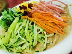 五彩拉皮-大眼锅贴水饺(河东店)