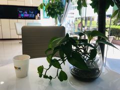 -维乐口腔(格林门诊长宁店)