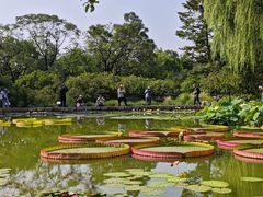 -国家植物园南园