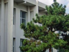 -吉林大学(前卫南区)