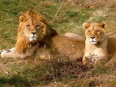 -西安秦岭野生动物园