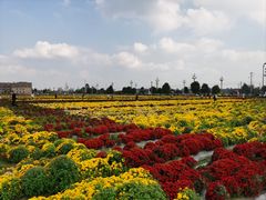 -中国天府农业博览园