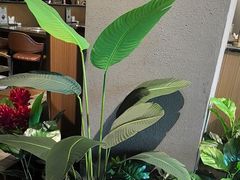 -海上食代(赣江新天地店)