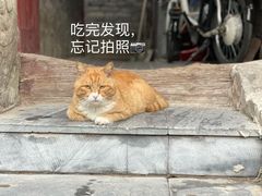 -宣武小院涮肉(前门店)