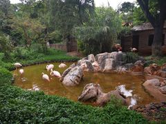 -昆明动物园