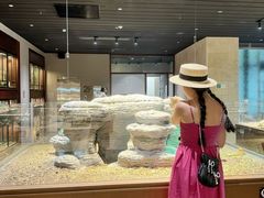 -帕帕拉兹宠物(亚洲旗舰店)