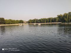 -后海公园