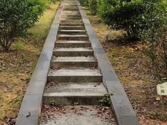 -佛山市三水区大南山森林公园