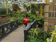 -南宫五洲植物乐园