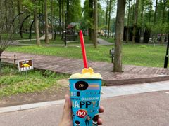 -黄海国家森林公园