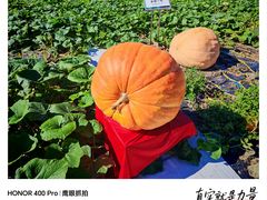 -长春农业博览园