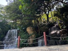-广州市帽峰山景区