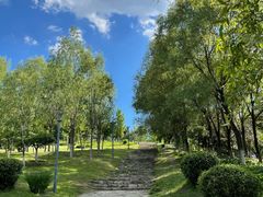 -莫子山公园