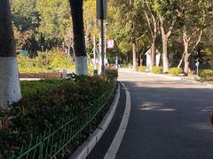 -东莞植物园