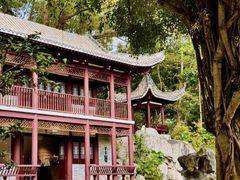-顺德公·广东猪肚鸡(车公庙总店)