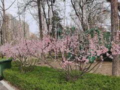 -迎泽公园