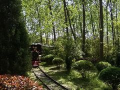 -合肥滨湖国家森林公园